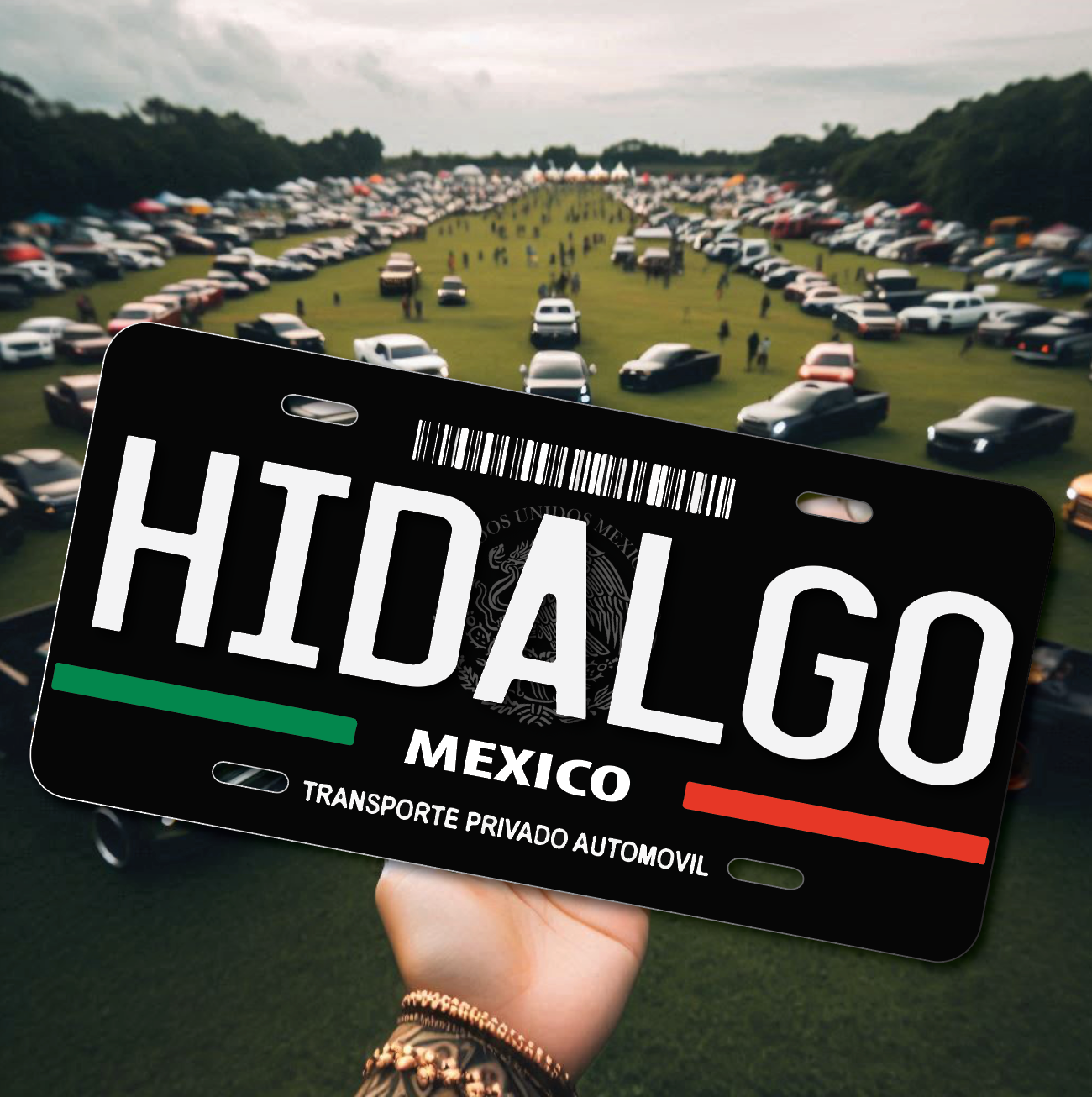 Estados Mexicanos | License Plate